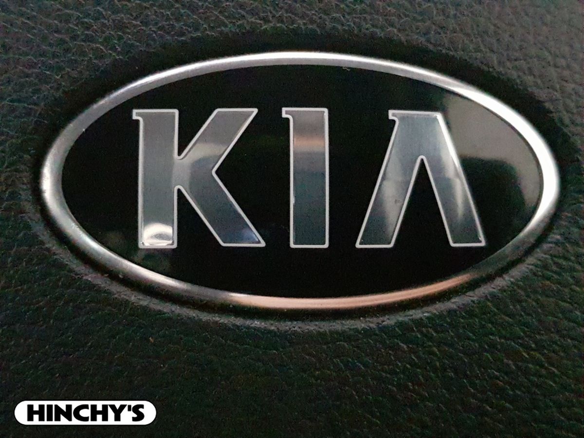 Kia Kia Sportage171 Platinum S